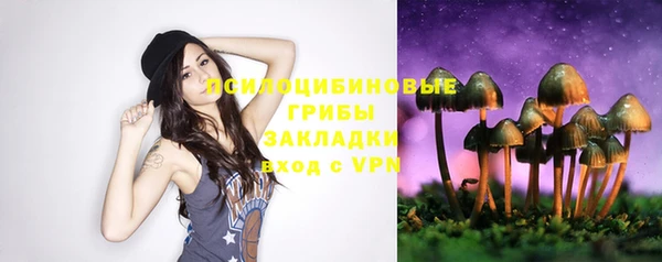 PSILOCYBIN Алексеевка