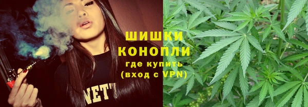 PSILOCYBIN Алексеевка