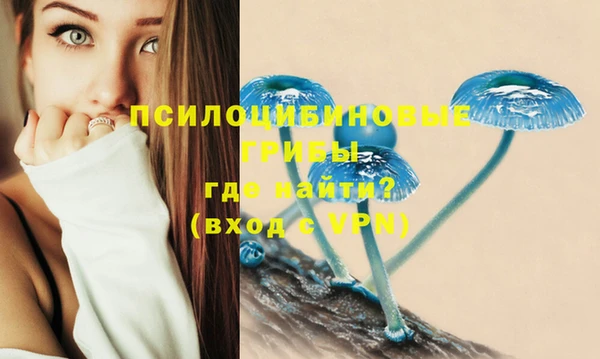 PSILOCYBIN Алексеевка