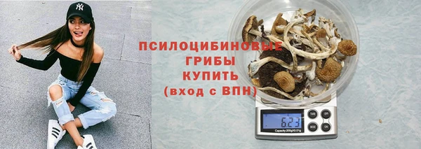 PSILOCYBIN Алексеевка