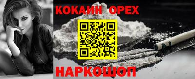 гашик Кунгур