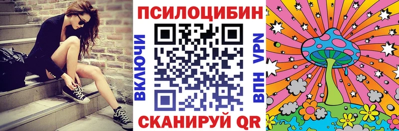 где найти наркотики  Нижнеудинск  Псилоцибиновые грибы мухоморы 