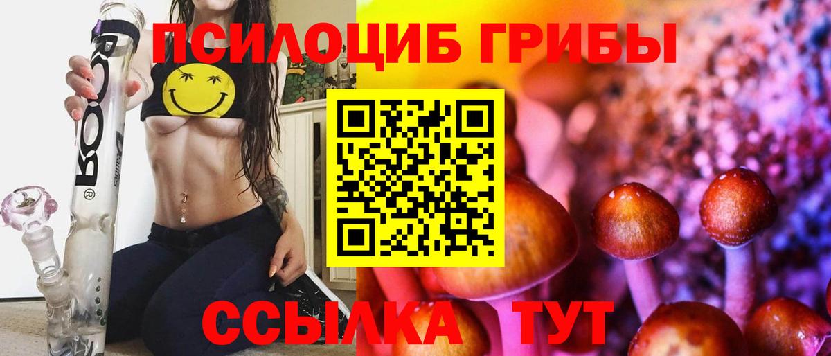 Нижнеудинск  Галлюциногенные грибы GOLDEN TEACHER  Вход с VPN  Псилоцибиновые грибы Cubensis 